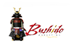 bushidomarketing.com
